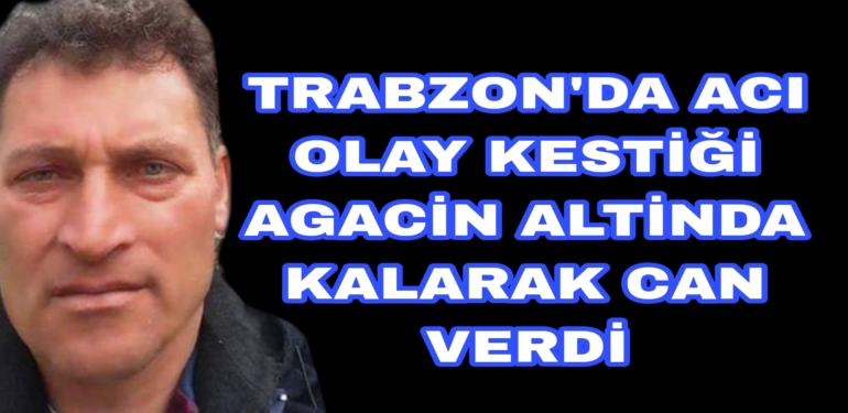 Kestiği Ağacın Altında kalarak can verdi