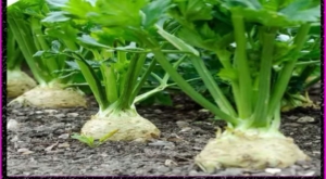 2023-01-18-15-22-59-242