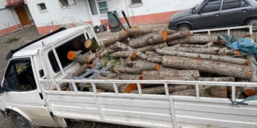 FB_IMG_1677144316040