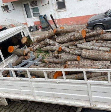 FB_IMG_1677144316040