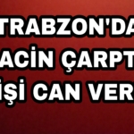 Picsart_23-02-01_18-21-48-703