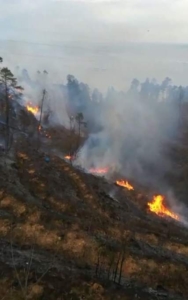 FB_IMG_1678646463584