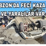 Picsart_23-03-07_15-22-27-641