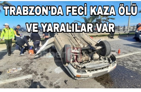 Picsart_23-03-07_15-22-27-641