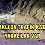 Picsart_23-03-11_20-46-34-310