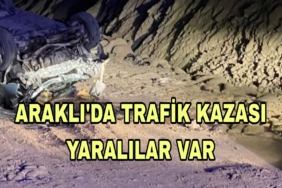 Picsart_23-03-11_20-46-34-310