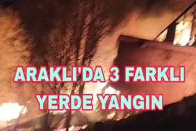 Picsart_23-03-12_07-35-12-956