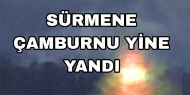 Picsart_23-03-12_20-57-09-214