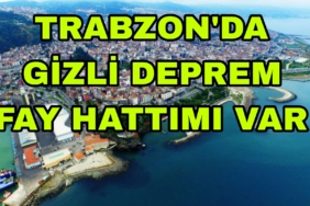 Picsart_23-03-13_22-06-09-817