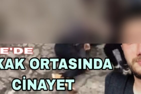 Picsart_23-03-15_06-50-24-785