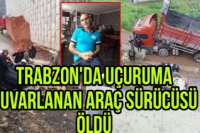 Picsart_23-03-18_12-22-36-253