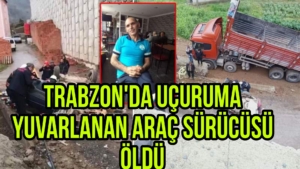 Picsart_23-03-18_12-22-36-253