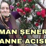 Picsart_23-03-26_21-15-40-905