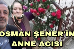 Picsart_23-03-26_21-15-40-905