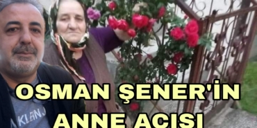 Picsart_23-03-26_21-15-40-905