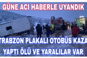 Picsart_23-03-30_07-44-54-385