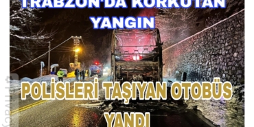 Picsart_23-03-31_09-04-03-036