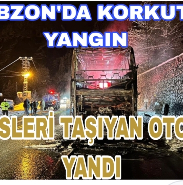 Picsart_23-03-31_09-04-03-036