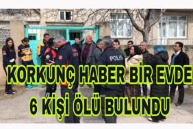 Picsart_23-03-31_16-35-44-659