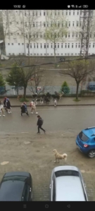 FB_IMG_1681296354854