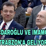 Picsart_23-04-01_19-32-50-367