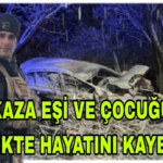 Picsart_23-04-08_07-04-47-881