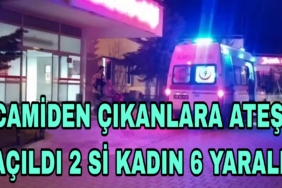 Picsart_23-04-10_07-36-38-068