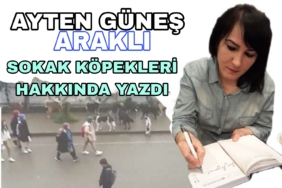 Picsart_23-04-14_10-12-35-249