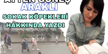 Picsart_23-04-14_10-12-35-249