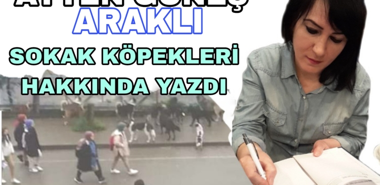 Ayten Güneş’in kaleminden Sokak köpekleri