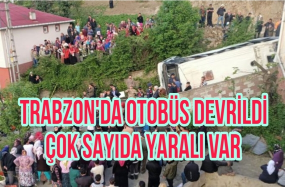 Picsart_23-05-04_19-13-43-465