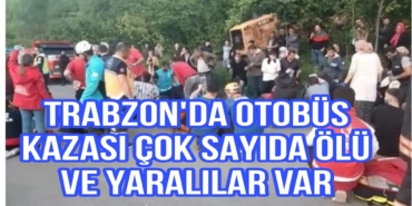 Picsart_23-05-04_20-23-14-590