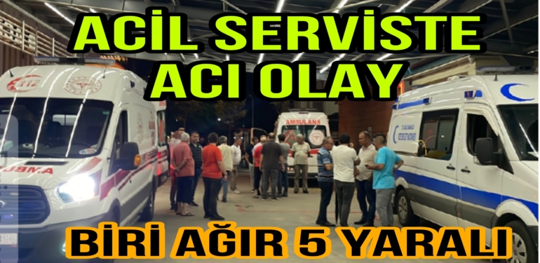 Bölgemizde feci Olay