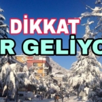 Picsart_23-12-16_21-03-14-663