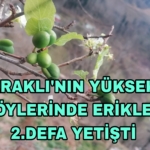 Picsart_23-12-22_20-02-01-844