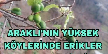 Picsart_23-12-22_20-02-01-844