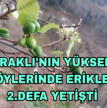 Picsart_23-12-22_20-02-01-844