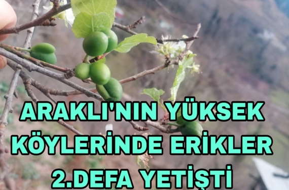 Picsart_23-12-22_20-02-01-844