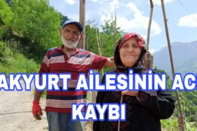 Picsart_24-07-27_22-31-29-284