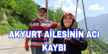 Picsart_24-07-27_22-31-29-284