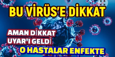 2025-02-25-21-40-31-681