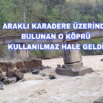 Picsart_25-03-31_20-20-47-930