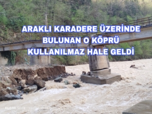 Picsart_25-03-31_20-20-47-930