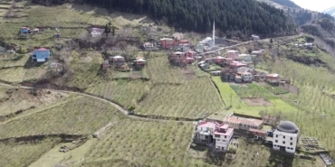 dji_fly_20250327_121604_0_1743066964651_photo_low_quality