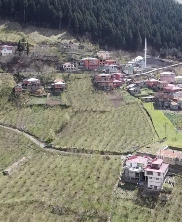 dji_fly_20250327_121604_0_1743066964651_photo_low_quality