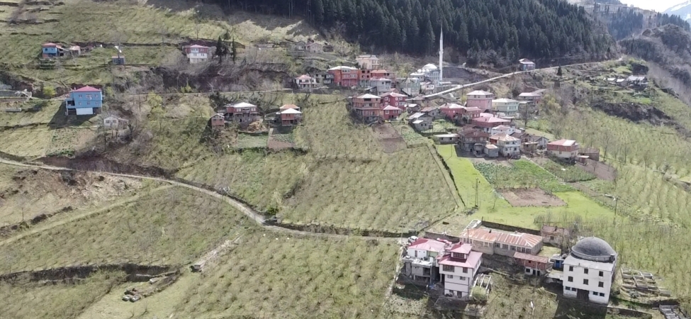 dji_fly_20250327_121604_0_1743066964651_photo_low_quality