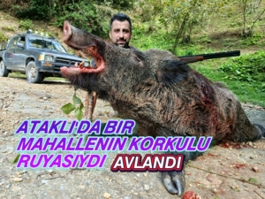 2025-09-21-14-06-39-229