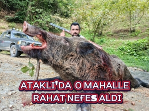 2025-09-21-14-23-35-261