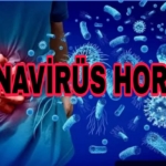 Picsart_25-09-22_19-33-50-748