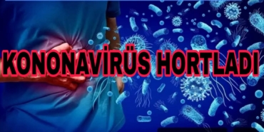 Picsart_25-09-22_19-33-50-748